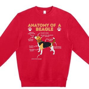 Anatomy Of A Beagle Funny Beagle Dog Lover Premium Crewneck Sweatshirt