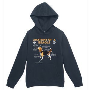 Anatomy Of A Beagle Funny Beagle Dog Lover Urban Pullover Hoodie