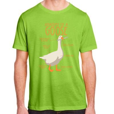 Anatomy Of A Goose Water Bird Duckling Adult ChromaSoft Performance T-Shirt