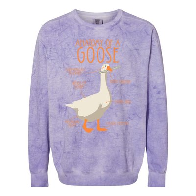 Anatomy Of A Goose Water Bird Duckling Colorblast Crewneck Sweatshirt