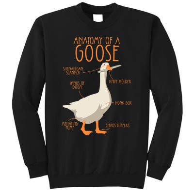 Anatomy Of A Goose Water Bird Duckling Sweatshirt