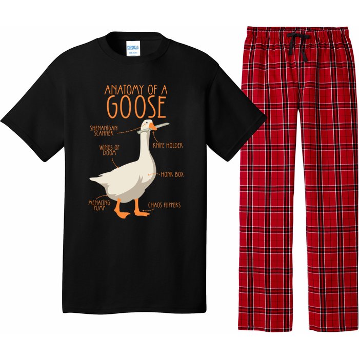 Anatomy Of A Goose Water Bird Duckling Pajama Set