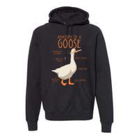 Anatomy Of A Goose Water Bird Duckling Premium Hoodie