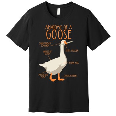 Anatomy Of A Goose Water Bird Duckling Premium T-Shirt