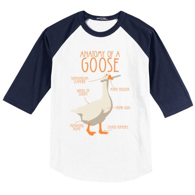 Anatomy Of A Goose Water Bird Duckling Baseball Sleeve Shirt