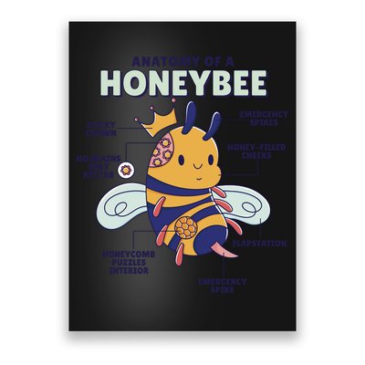 Anatomy Of A Honeybee Bumblebee Poster