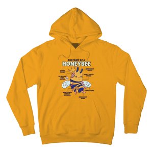 Anatomy Of A Honeybee Bumblebee Hoodie