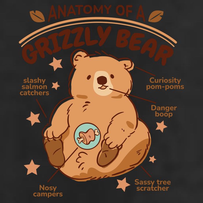 Anatomy Of A Grizzly Bear Adult Drive Performance Visor