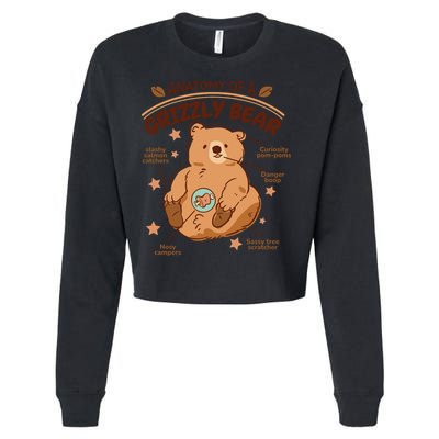 Anatomy Of A Grizzly Bear Cropped Pullover Crew