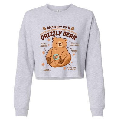 Anatomy Of A Grizzly Bear Cropped Pullover Crew