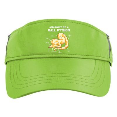 Anatomy Of A Ball Python Reptile Snake Owner Adult Drive Performance Visor