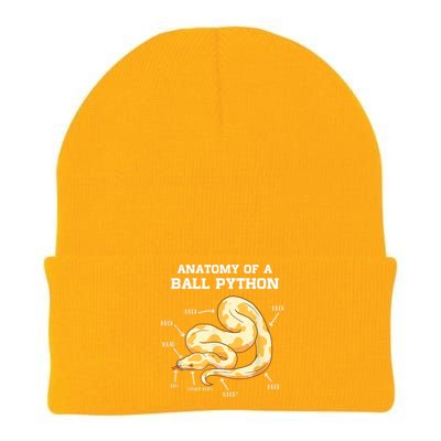 Anatomy Of A Ball Python Reptile Snake Owner Knit Cap Winter Beanie