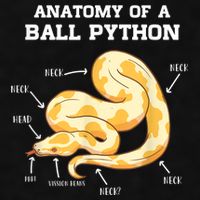 Anatomy Of A Ball Python Reptile Snake Owner Ladies PosiCharge Tri-Blend Wicking Tank