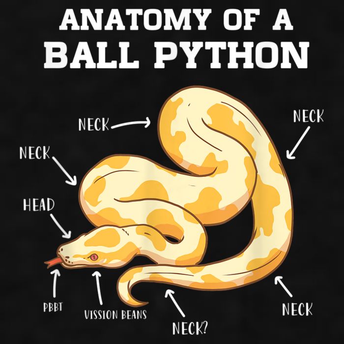 Anatomy Of A Ball Python Reptile Snake Owner Ladies PosiCharge Tri-Blend Wicking Tank
