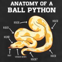 Anatomy Of A Ball Python Reptile Snake Owner Cool Comfort Performance Bucket Hat
