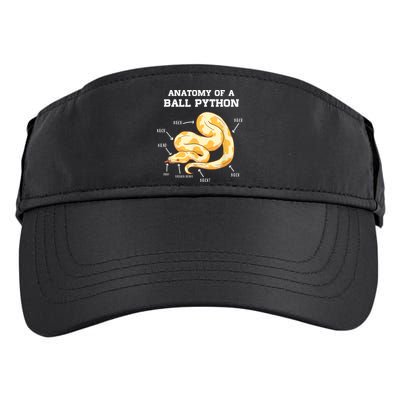 Anatomy Of A Ball Python Reptile Snake Owner Adult Drive Performance Visor