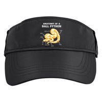 Anatomy Of A Ball Python Reptile Snake Owner Adult Drive Performance Visor