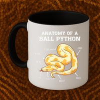 Anatomy Of A Ball Python Reptile Snake Owner Mug