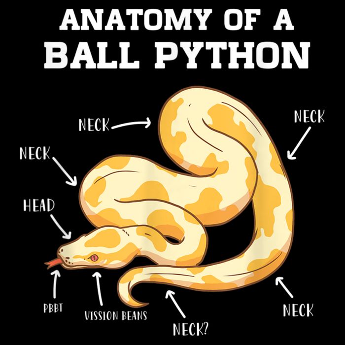 Anatomy Of A Ball Python Reptile Snake Owner Drawstring Bag