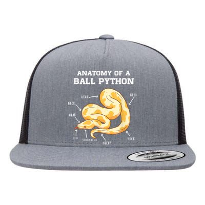 Anatomy Of A Ball Python Reptile Snake Owner Flat Bill Trucker Hat