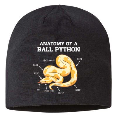 Anatomy Of A Ball Python Reptile Snake Owner Sustainable Beanie