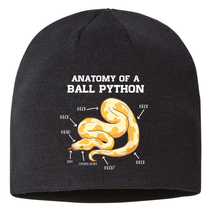 Anatomy Of A Ball Python Reptile Snake Owner Sustainable Beanie