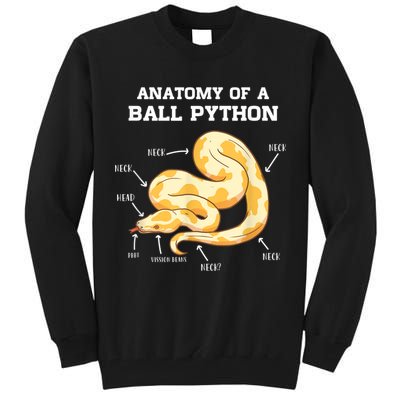 Anatomy Of A Ball Python Reptile Snake Owner Tall Sweatshirt