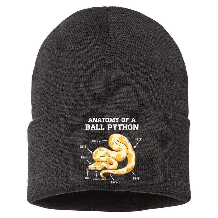 Anatomy Of A Ball Python Reptile Snake Owner Sustainable Knit Beanie