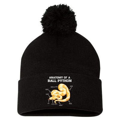 Anatomy Of A Ball Python Reptile Snake Owner Pom Pom 12in Knit Beanie