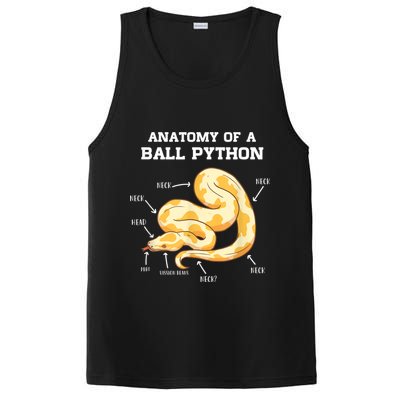 Anatomy Of A Ball Python Reptile Snake Owner PosiCharge Competitor Tank