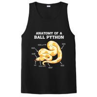 Anatomy Of A Ball Python Reptile Snake Owner PosiCharge Competitor Tank