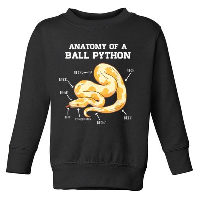 Anatomy Of A Ball Python Reptile Snake Owner Toddler Sweatshirt
