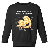 Anatomy Of A Ball Python Reptile Snake Owner Toddler Sweatshirt