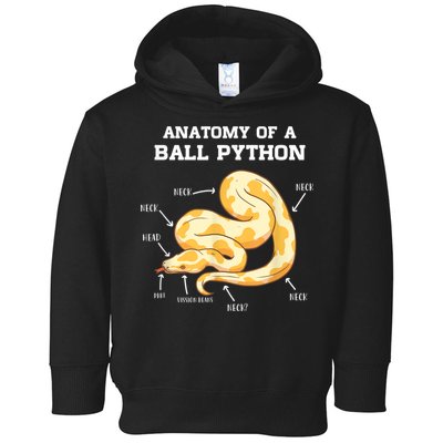 Anatomy Of A Ball Python Reptile Snake Owner Toddler Hoodie