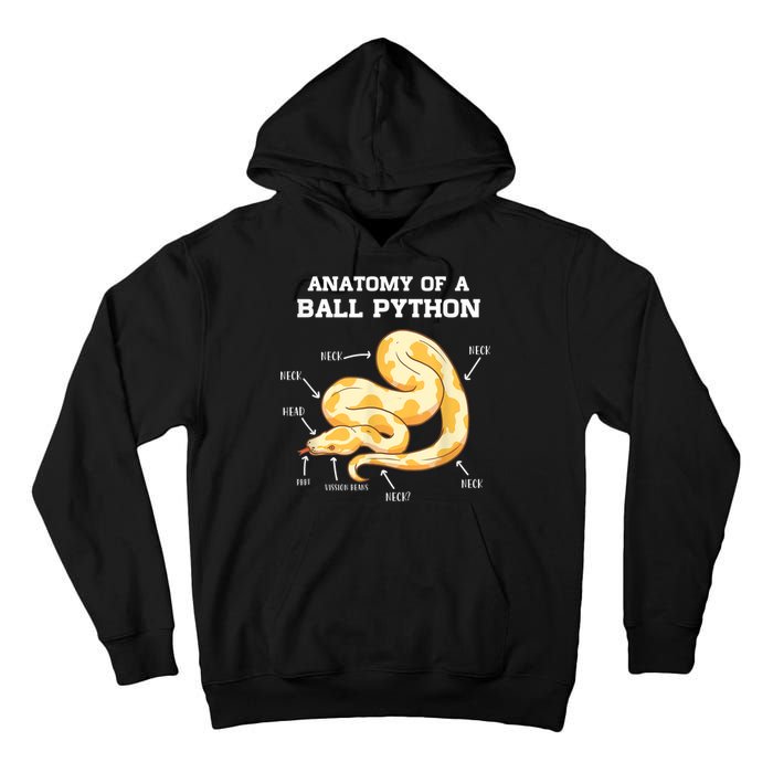 Anatomy Of A Ball Python Reptile Snake Owner Tall Hoodie