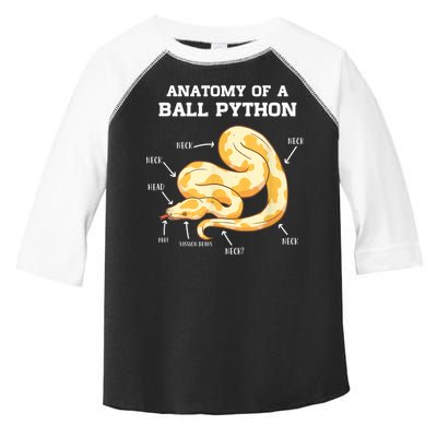 Anatomy Of A Ball Python Reptile Snake Owner Toddler Fine Jersey T-Shirt