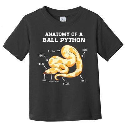 Anatomy Of A Ball Python Reptile Snake Owner Toddler T-Shirt