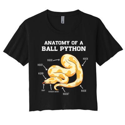 Anatomy Of A Ball Python Reptile Snake Owner Crop Top