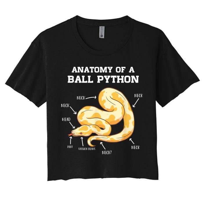 Anatomy Of A Ball Python Reptile Snake Owner Crop Top