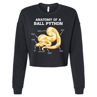Anatomy Of A Ball Python Reptile Snake Owner Cropped Pullover Crew