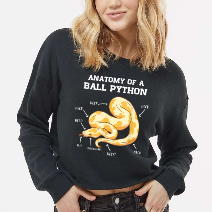 Anatomy Of A Ball Python Reptile Snake Owner Cropped Pullover Crew