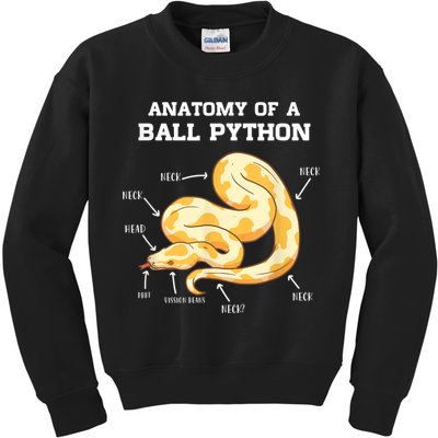 Anatomy Of A Ball Python Reptile Snake Owner Kids Sweatshirt