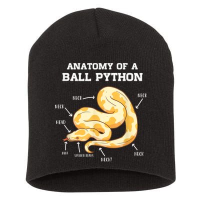 Anatomy Of A Ball Python Reptile Snake Owner Short Acrylic Beanie