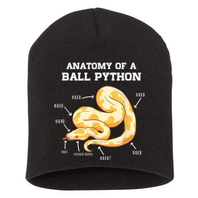 Anatomy Of A Ball Python Reptile Snake Owner Short Acrylic Beanie