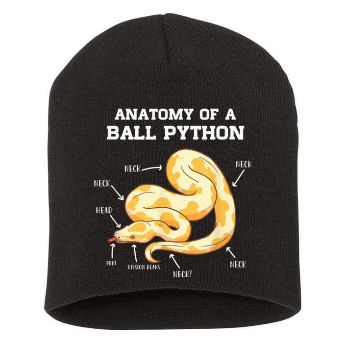 Anatomy Of A Ball Python Reptile Snake Owner Short Acrylic Beanie