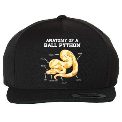 Anatomy Of A Ball Python Reptile Snake Owner Wool Snapback Cap