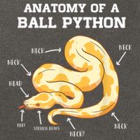 Anatomy Of A Ball Python Reptile Snake Owner Cotton Canvas Backpack