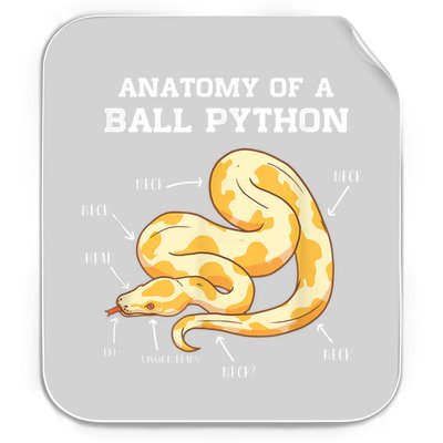 Anatomy Of A Ball Python Reptile Snake Owner Permanent Decal Sticker