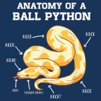 Anatomy Of A Ball Python Reptile Snake Owner Infant Baby Jersey Bodysuit