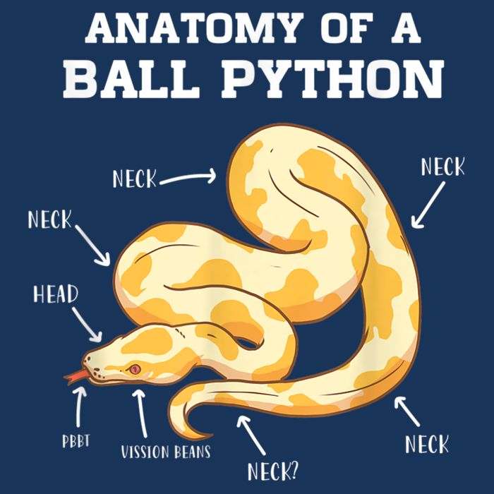 Anatomy Of A Ball Python Reptile Snake Owner Infant Baby Jersey Bodysuit
